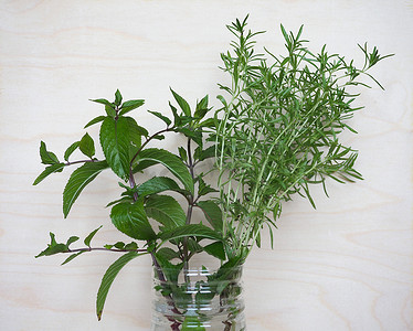 薄荷植物 (Mentha piperita) 和夏季咸味植物 (Satu