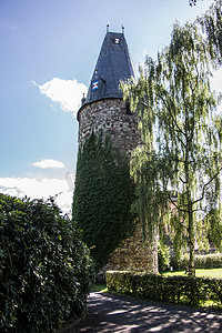 Dierdorf Westerwald 的猫头鹰塔