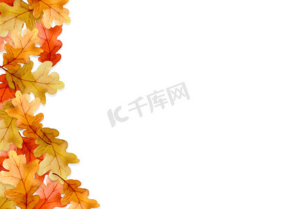 感恩秋天摄影照片_红色叶子框架在秋天概念隔绝在白色背景。
