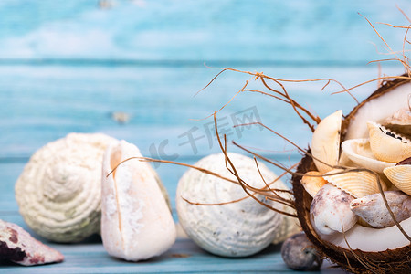 夏天主题背景摄影照片_蓝色木质背景中的椰子和贝壳。海洋主题