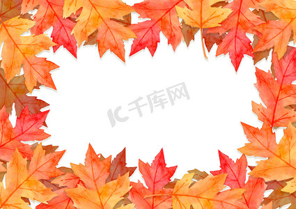 红色叶子框架在秋天概念隔绝在白色背景。