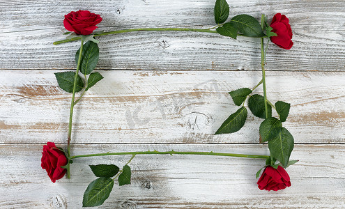 方形木质摄影照片_白色质朴木质背景上由红玫瑰制成的方形轮廓