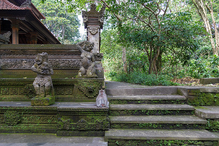 小猴子摄影照片_在一座古老的石庙上的猴子座位。