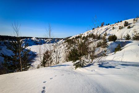 树木顶部摄影照片_冬天覆盖着白雪的山丘上有松树和树木。