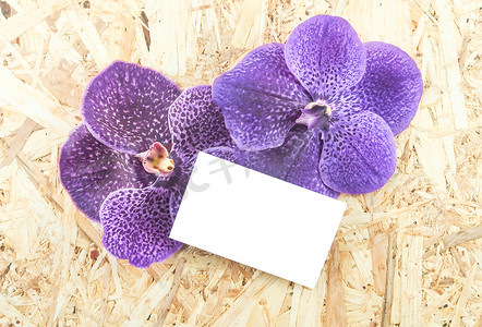 木质背景上的紫色万代兰花，空白纸张空间用于文本