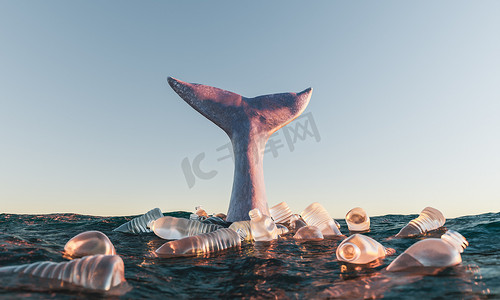 海洋塑料垃圾污染摄影照片_海洋中被塑料瓶包围的鲸鱼尾巴