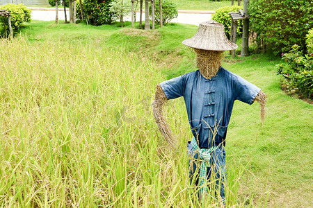 人形稻草人通常穿着旧衣服和旧地方