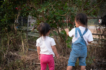 亚洲小女孩在草丛杂乱的花园里散步。