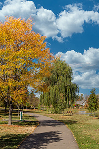 秋天的公园小道