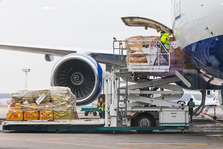 俄罗斯莫斯科-2013 年 11 月 23 日：在俄罗斯莫斯科多莫杰多沃机场出发前将货物装载到飞机上