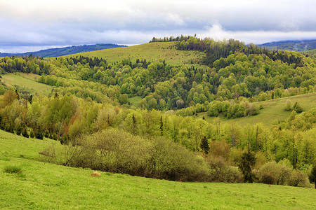 喀尔巴阡山脉的山丘上长满了年轻的落叶乔木，从高处可以看到春天的喀尔巴阡山脉。