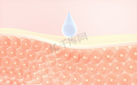 皮肤细胞吸收血清，3d 渲染。