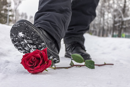踩踏事故教育摄影照片_一名男子因与心爱的人分离而踩踏了雪地里的红玫瑰