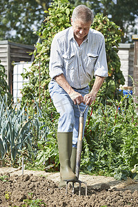 花园菜地摄影照片_老人在地块上挖菜地