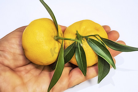 冬季富含维生素C的柑橘类水果