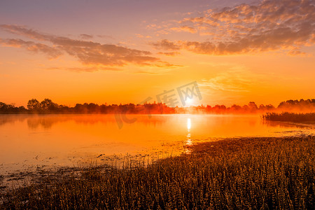 在春天或初夏的早晨，池塘或湖泊上方美丽的日出或黎明的美景。