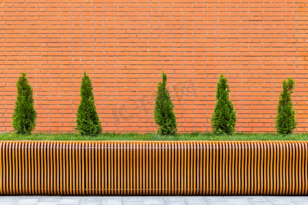 红砖墙和参数化胶合板长凳前的五棵小锥形崖柏树