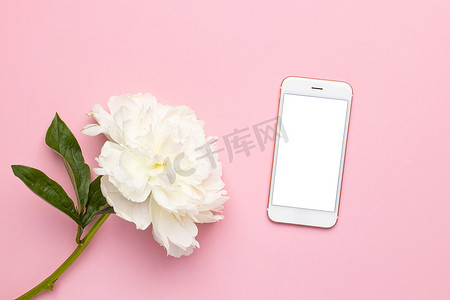 花瓶中的牡丹花摄影照片_粉红色背景花瓶中的手机白屏和美丽的白牡丹花，具有复制空间、假日和生日概念