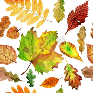 无缝花纹与秋天的水彩叶子