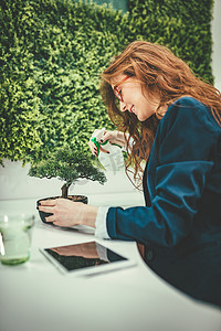 像我的生意一样种植我的植物