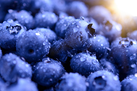 水滴覆盖的新鲜成熟甜蓝莓背景
