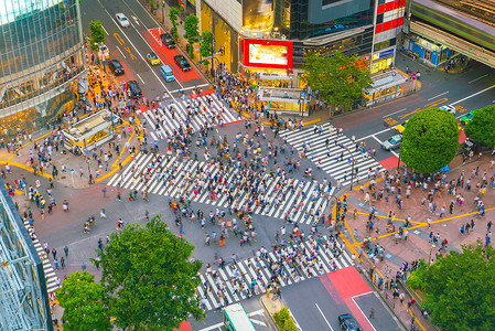 从东京的顶视图涩谷十字路口