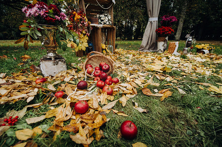秋季婚礼在绿色草坪上的街道上举行。仪式上装饰着鲜花拱门