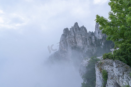 雾中恶劣天气中的一块岩石
