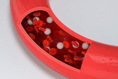 血管中的红细胞和白细胞，3d 渲染。