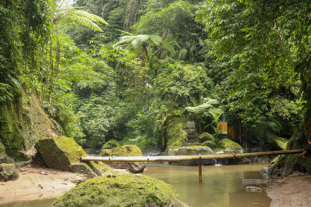 热带森林河流上的竹人行吊桥