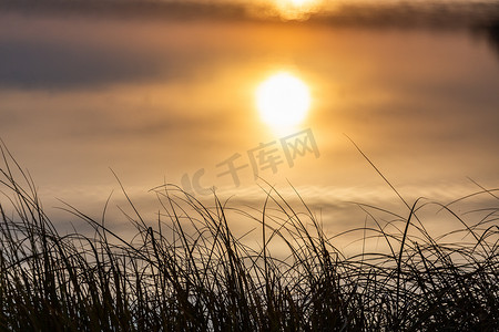 出水素果摄影照片_升起的太阳反射在平静的水面和前景中又长又薄的草上 — 具有选择性聚焦和模糊的简约抽象图片