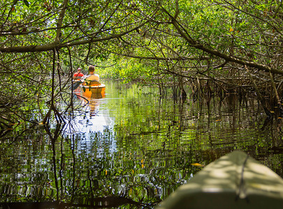 在美国佛罗里达州大沼泽地国家公园划皮划艇