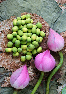 莲子茶摄影照片_收藏莲花、种子、茶、健康食品