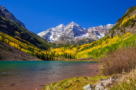 美国科罗拉多州阿斯彭秋季栗色钟的风景照片