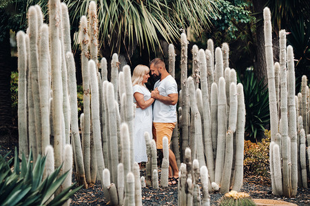 一对恩爱的情侣在特内里费岛巨大的仙人掌背景下拥抱。人们在加那利群岛相爱。特内里费岛的大仙人掌