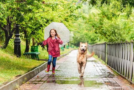 带着狗在雨中行走的小女孩