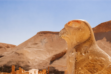 代尔巴哈里哈特谢普苏特太平间寺庙中的猎鹰雕像。