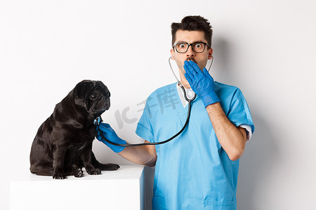 兽医诊所的震惊医生用听诊器检查狗，对着镜头惊奇地喘着粗气，而可爱的黑色哈巴狗仍然坐在桌子上，白色背景