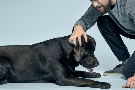 男人在室内训练狗，用手做手势来执行模型的命令