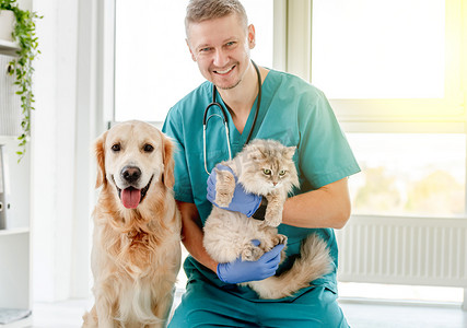 猫狗与人摄影照片_在诊所与狗和猫一起兽医