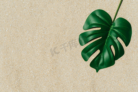 竹叶纹理摄影照片_沙子纹理背景夏季海滩上的热带龟背竹叶。