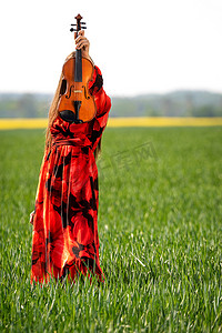 身穿红色连衣裙、在绿色草地上拉小提琴的年轻女子 — 图片