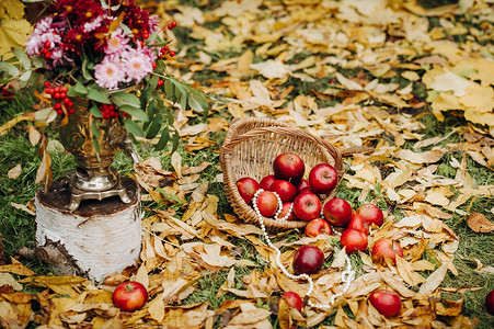 鲜花拱门摄影照片_秋季婚礼在绿色草坪上的街道上举行。仪式上装饰着鲜花拱门