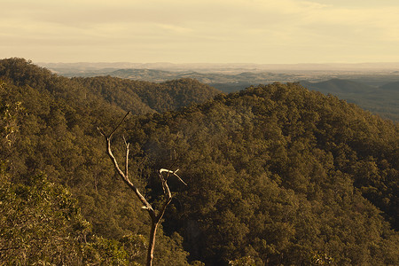 光荣放价摄影照片_从昆士兰州布里斯班附近的光荣山看到的景色。
