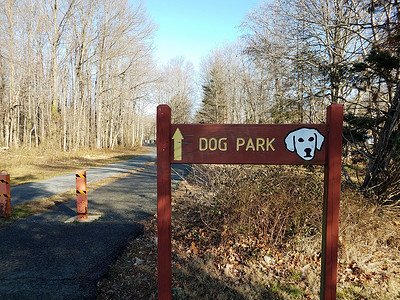带黄色箭头和沥青小径和树木的木狗公园标志