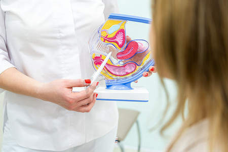 卵巢癌摄影照片_使用子宫解剖学模型的妇科医生咨询的患者