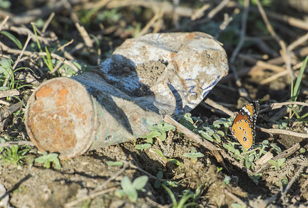 垃圾污染摄影照片_橙色和黑色斑点蝴蝶与垃圾污染的特写