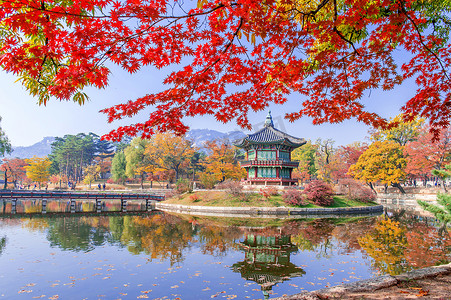 韩国景福宫和秋天的枫树。
