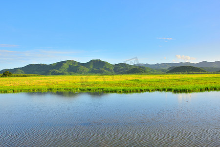 热带黄草田水山自然景观与阳光明媚的泰国。