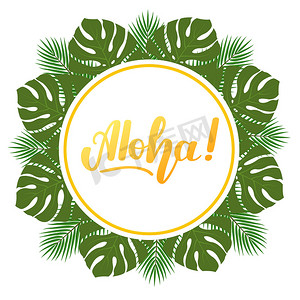 带有手写字母 Aloha 的热带树叶圆形框架。